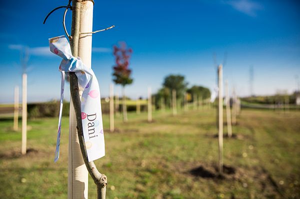 TREE-PLANTING ON THE FACTORY SITE